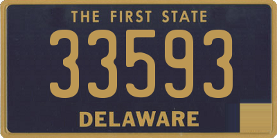 DE license plate 33593