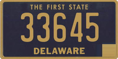 DE license plate 33645