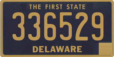DE license plate 336529