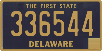DE license plate 336544
