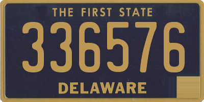 DE license plate 336576