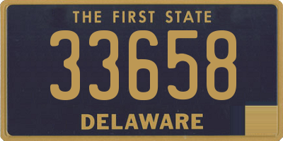 DE license plate 33658