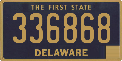 DE license plate 336868