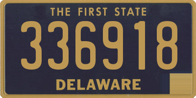 DE license plate 336918