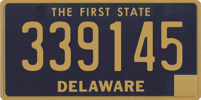 DE license plate 339145