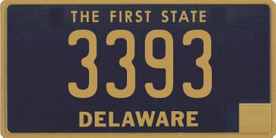 DE license plate 3393