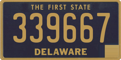 DE license plate 339667