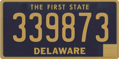 DE license plate 339873