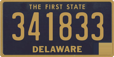 DE license plate 341833