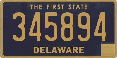 DE license plate 345894