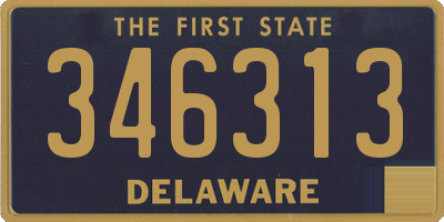 DE license plate 346313