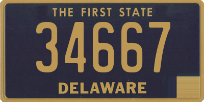 DE license plate 34667