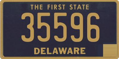 DE license plate 35596