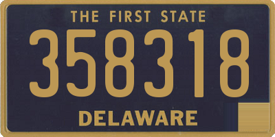 DE license plate 358318