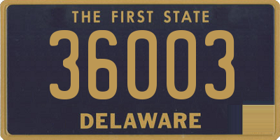 DE license plate 36003