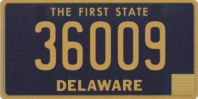 DE license plate 36009