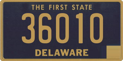DE license plate 36010