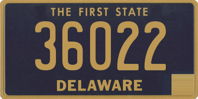 DE license plate 36022