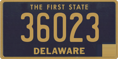 DE license plate 36023