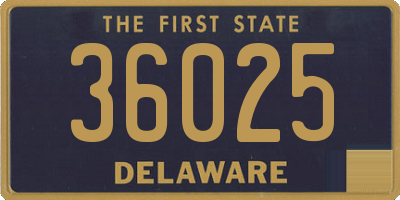 DE license plate 36025