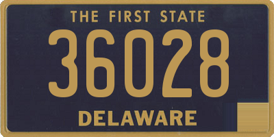 DE license plate 36028