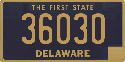 DE license plate 36030
