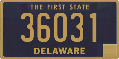 DE license plate 36031