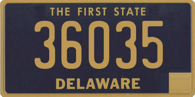 DE license plate 36035