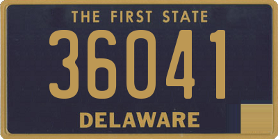 DE license plate 36041