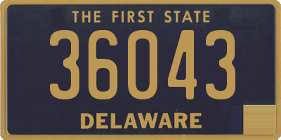 DE license plate 36043