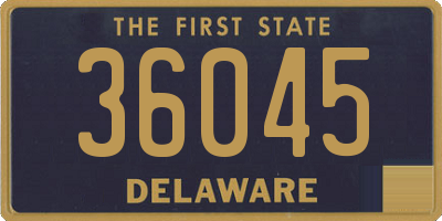 DE license plate 36045