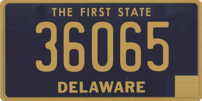 DE license plate 36065