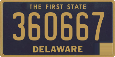 DE license plate 360667