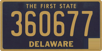 DE license plate 360677