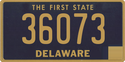 DE license plate 36073