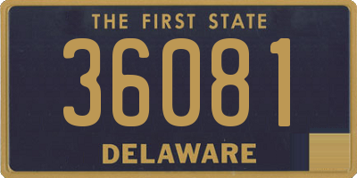 DE license plate 36081