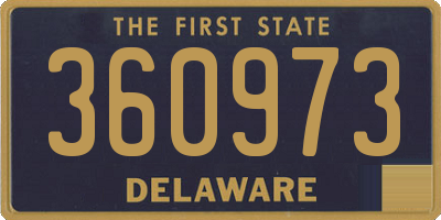 DE license plate 360973