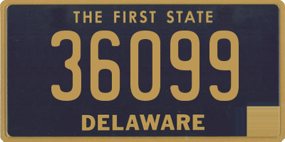 DE license plate 36099