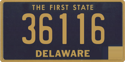 DE license plate 36116