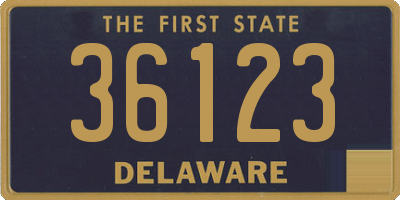 DE license plate 36123