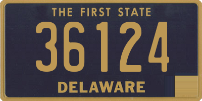 DE license plate 36124