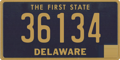 DE license plate 36134