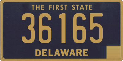 DE license plate 36165