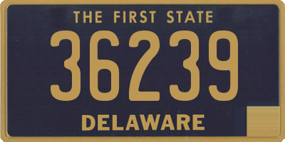 DE license plate 36239