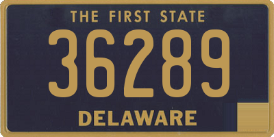 DE license plate 36289