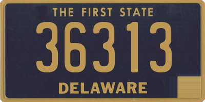 DE license plate 36313