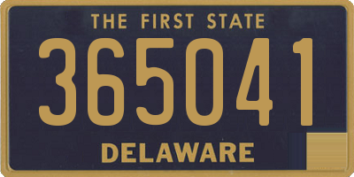 DE license plate 365041