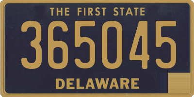 DE license plate 365045