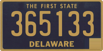 DE license plate 365133