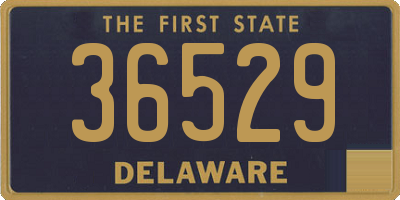 DE license plate 36529